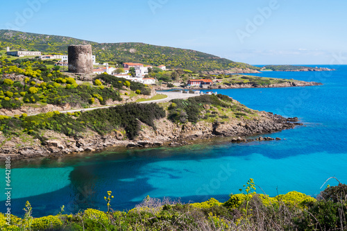 Asinara island in Sardinia, Italy