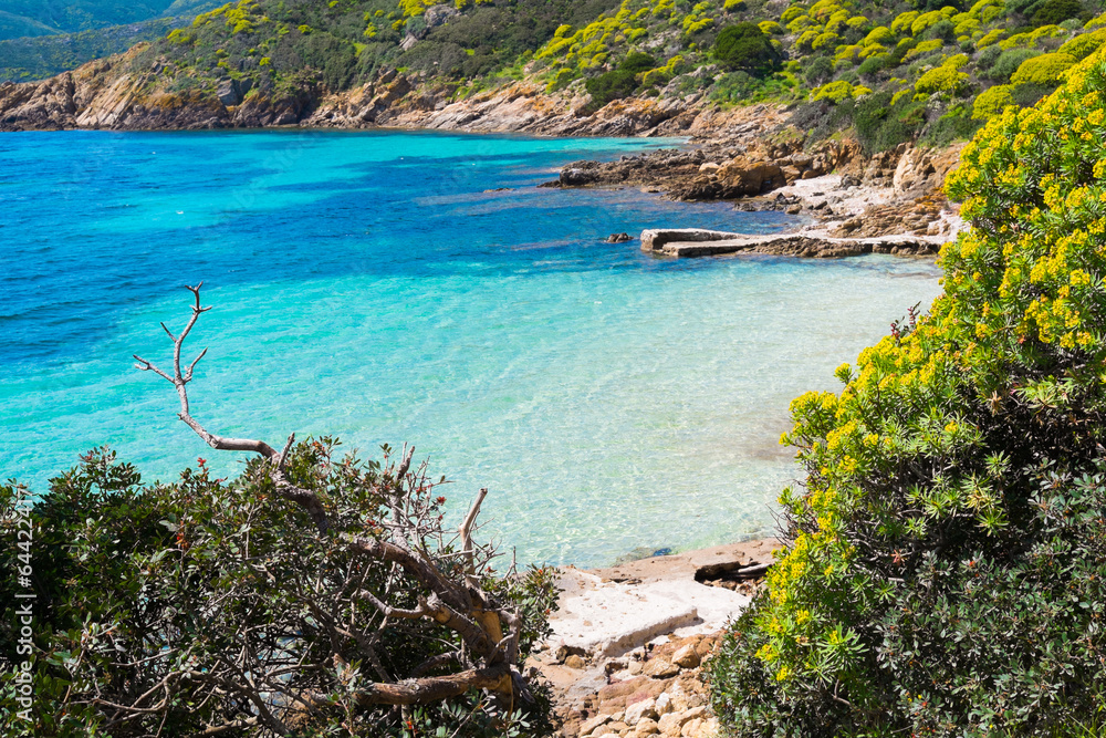 Asinara island in Sardinia, Italy