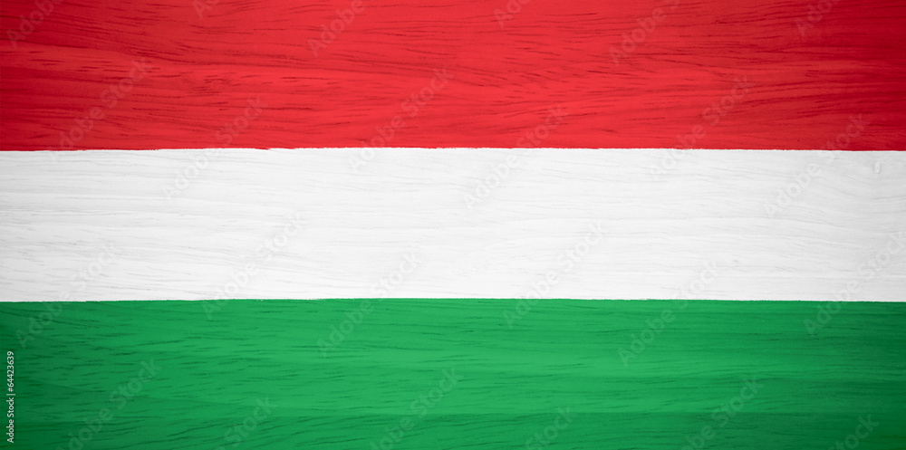 Hungary flag on wood texture