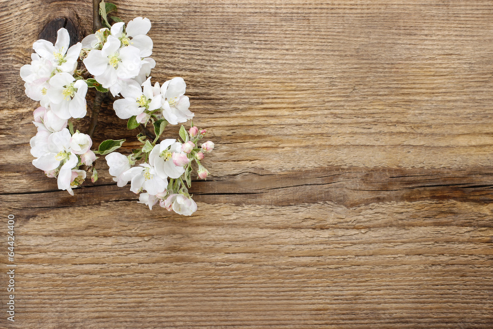 Flowering twig of apple tree on wooden background. Copy space Flowering twig of apple tree on wooden background. Copy space