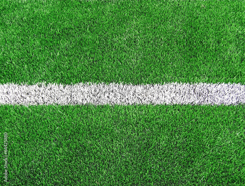 green natural grass of a Football soccer field 