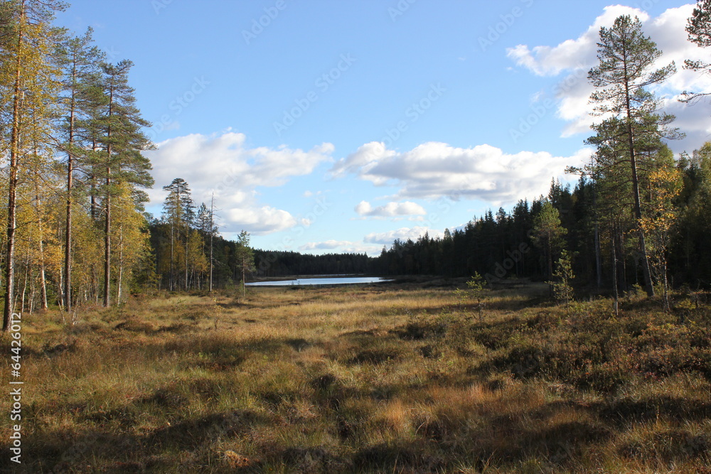 Bog and lake in Varmland, Sweden