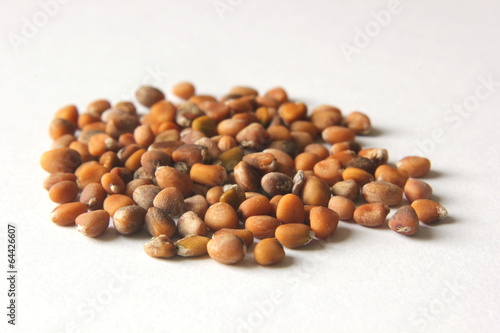 A heap of cultivated radish seeds