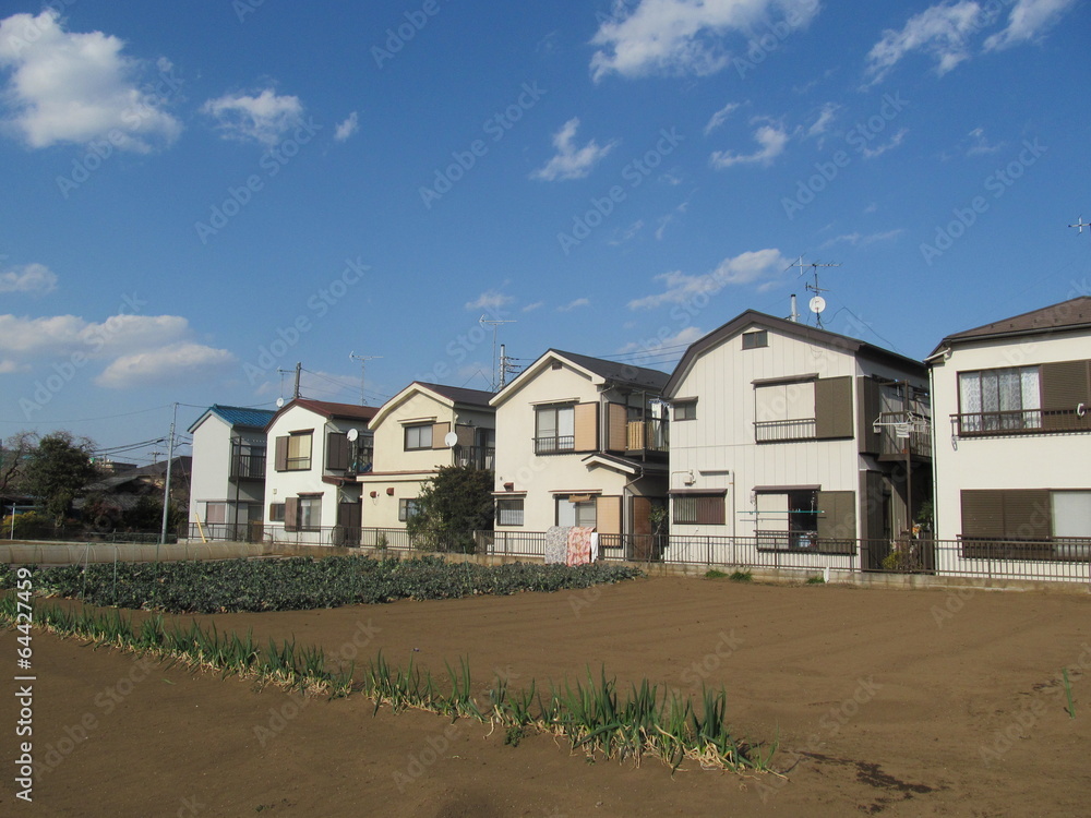 Fototapeta premium 家々と畑