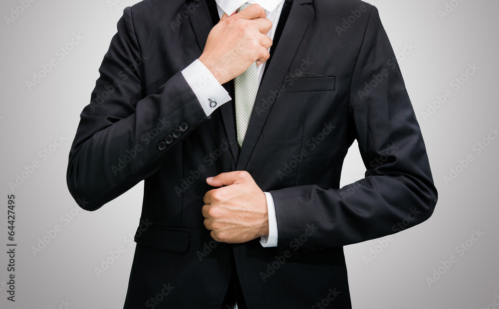 Businessman standing posture show hand isolated Businessman standing posture show hand isolated