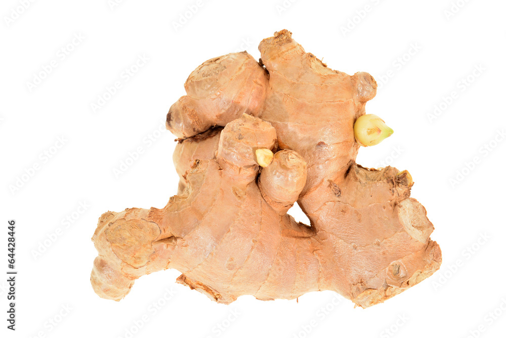 Ginger Root Isolated On White Background Ginger Root Isolated On White Background