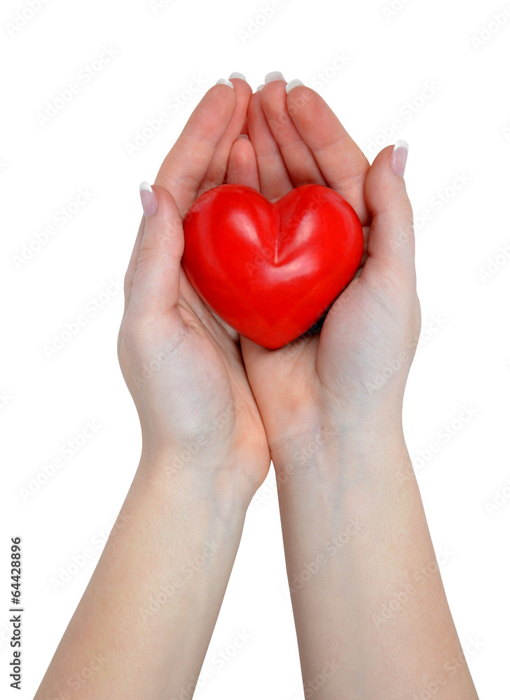 heart in hand isolated on white