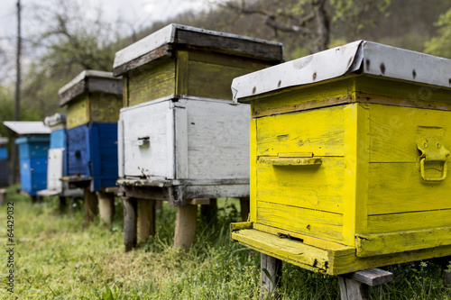 Beehives © BGStock72