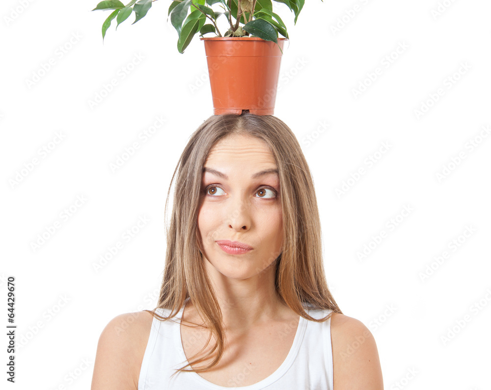 Smiling woman hold houseplant isolated on white. Smiling woman hold houseplant isolated on white.