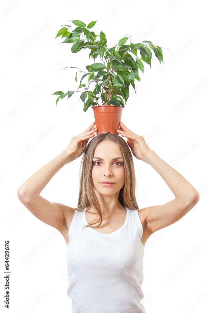 Smiling woman hold houseplant isolated on white. Smiling woman hold houseplant isolated on white.