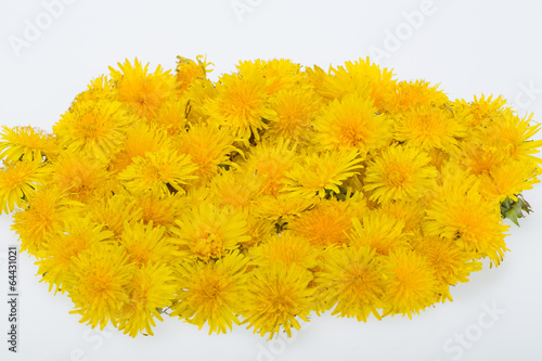 beautiful yellow flower of Dandelion