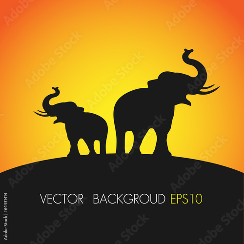 Silhouettes of twin elephants