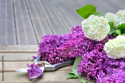 fleurs de lilas fraîchement cueillies