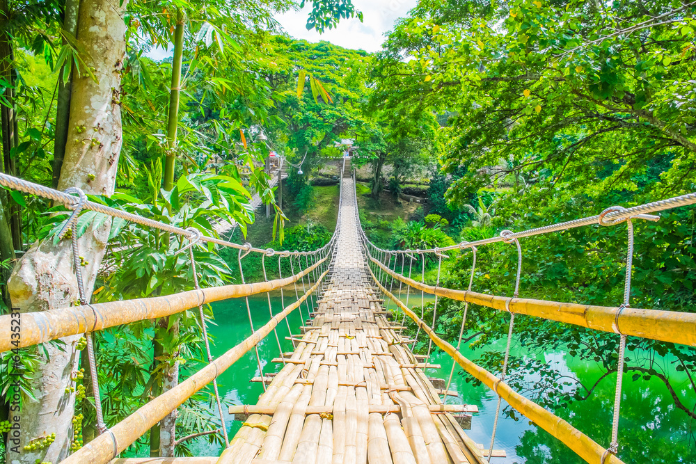 Fototapeta Bambusowy pieszy zawieszenie most nad rzeką