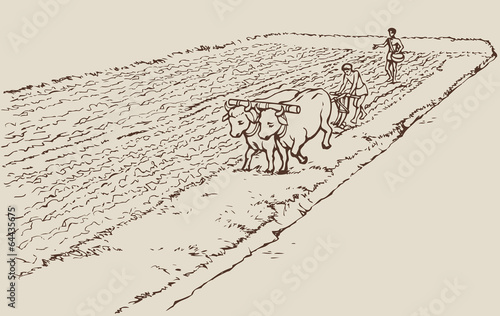 Vector drawing. Primitive agriculture. Peasants treated field