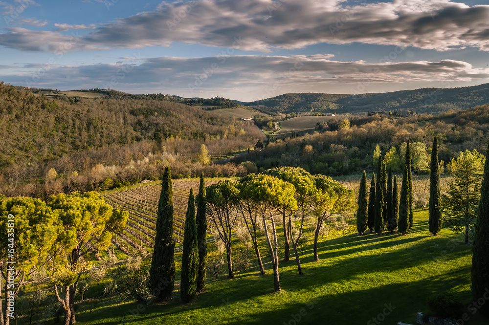 Naklejka premium la toscana,