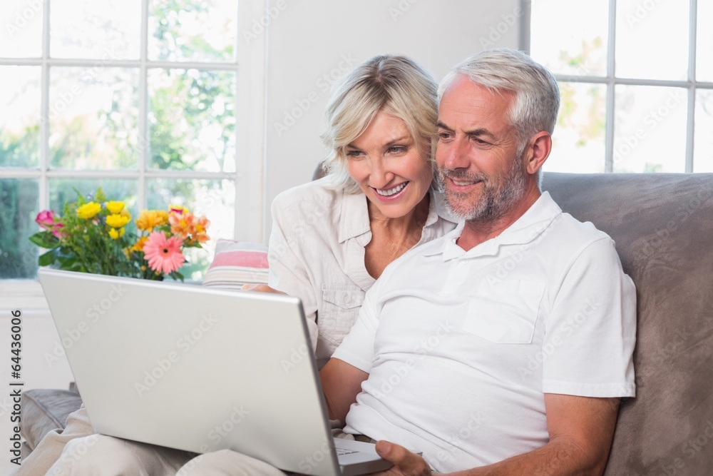 Mature couple using laptop at home