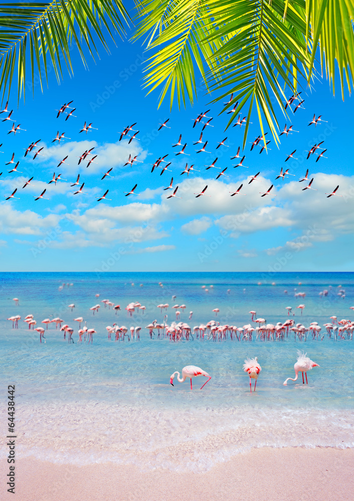 Obraz premium pink shore with flamingos