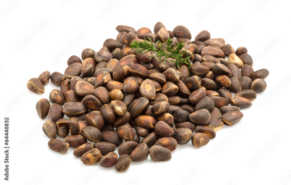 Cedar nut heap Cedar nut heap