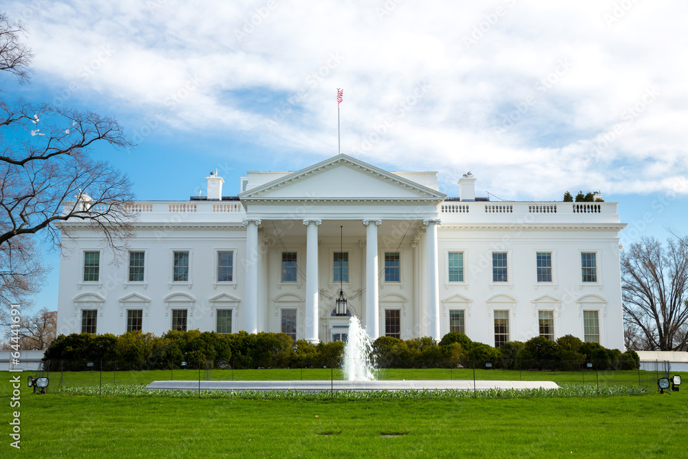 Naklejka premium The White House