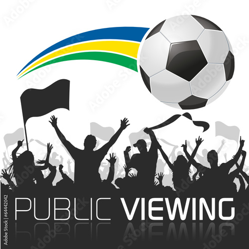 Soccer Field Fans Public Viewing