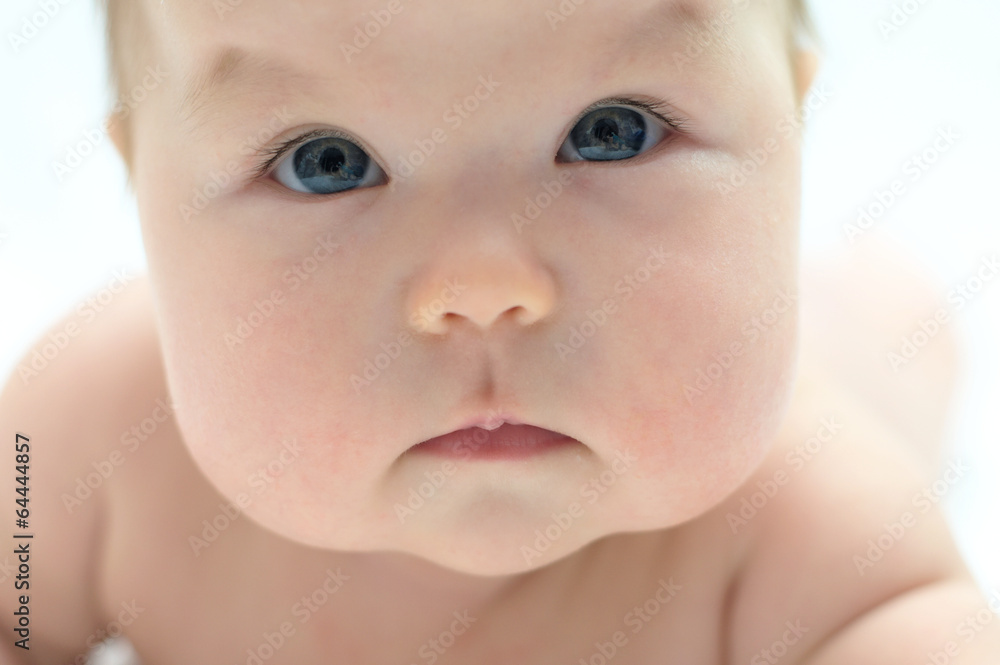 newborn baby portrait newborn baby portrait