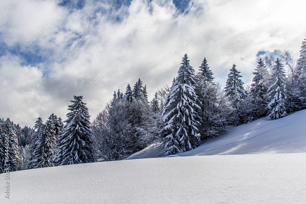 Naklejka premium Montagnes sous la neige