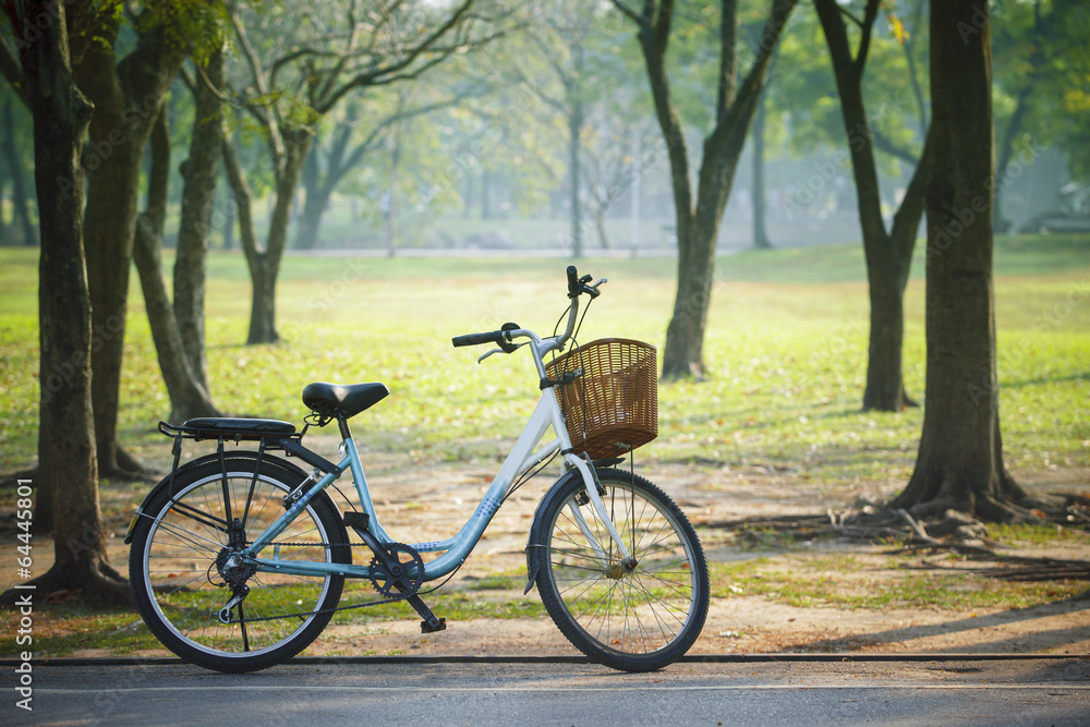 old vintage bicycle in public park with green nature concept