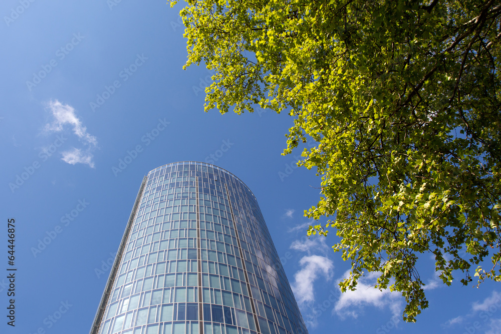 Fototapeta premium Green tree branches against the skyscraper and blue sky