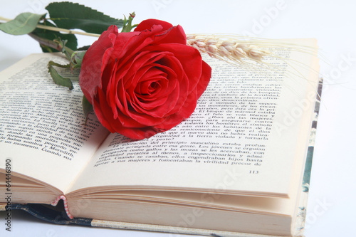Photography sant jordi
