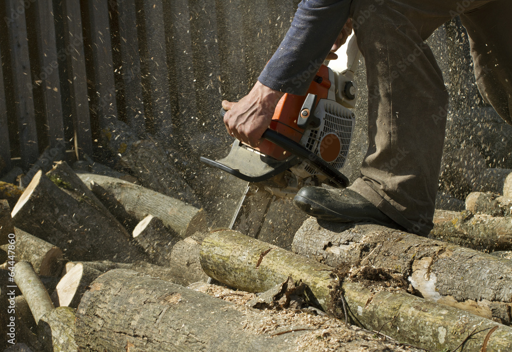 Man cuts a fallen tree.