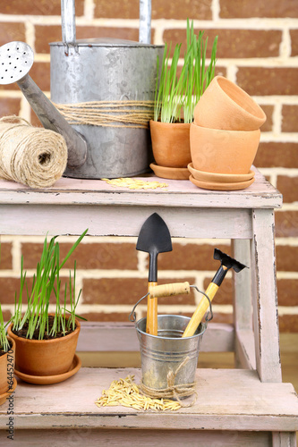 Green grass in flowerpots and gardening tools