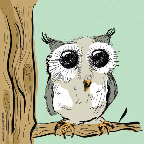 Cute Colored Owl photo