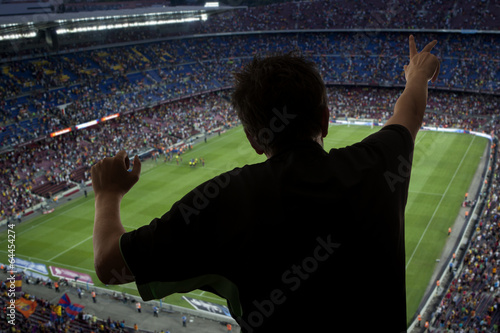 Canvas Print Happy soccer fans