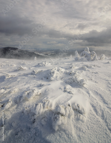 Hibernation. Carpathian, Ukraine.