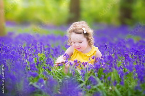 Little cute toddler girl in bluebell flowers in spring