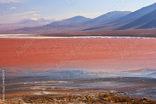 Laguna Colorada, Bolivia,South America