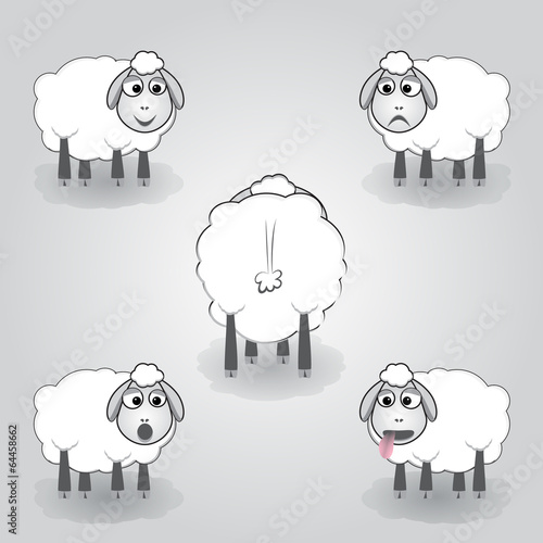 Vector cartoon illustration of sheep photo