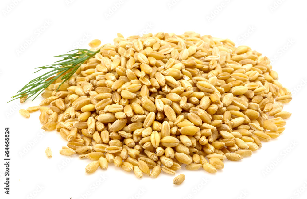 Gold rice Gold rice