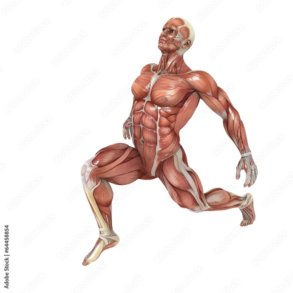 Lunge Lunge