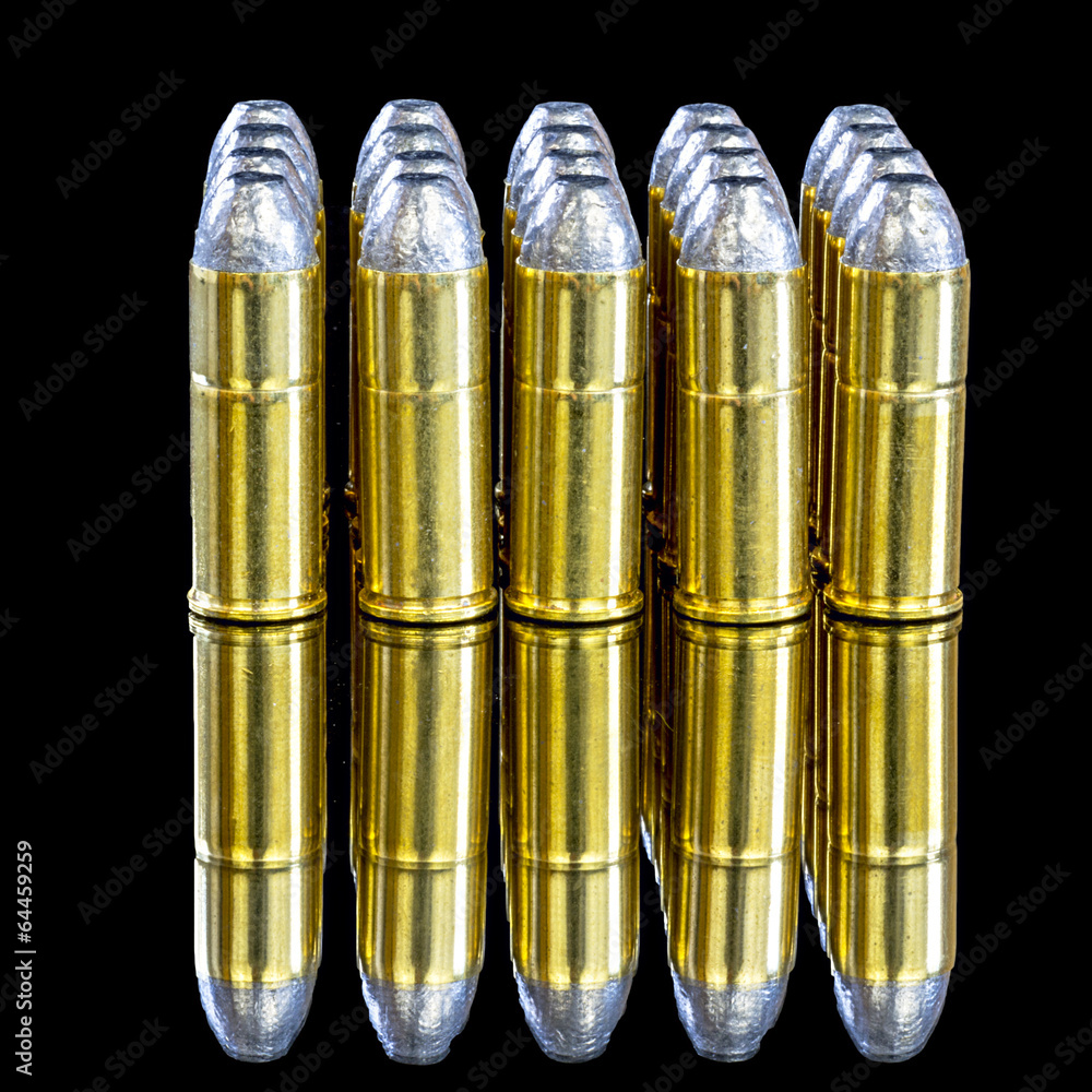 Shinny brass bullets with lead tops Shinny brass bullets with lead tops