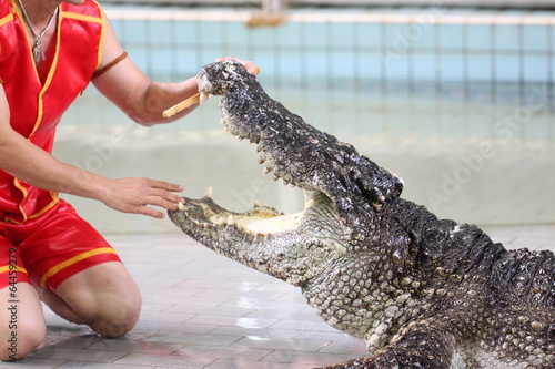 Show to catch crocodiles.