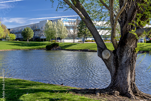 Micron Technology building frontage pond in spring