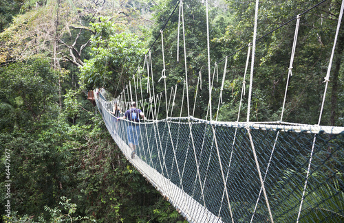 Canopy walkway. Taman Negara National Park. Malaysia 