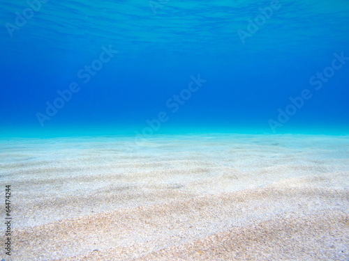 underwater landscape