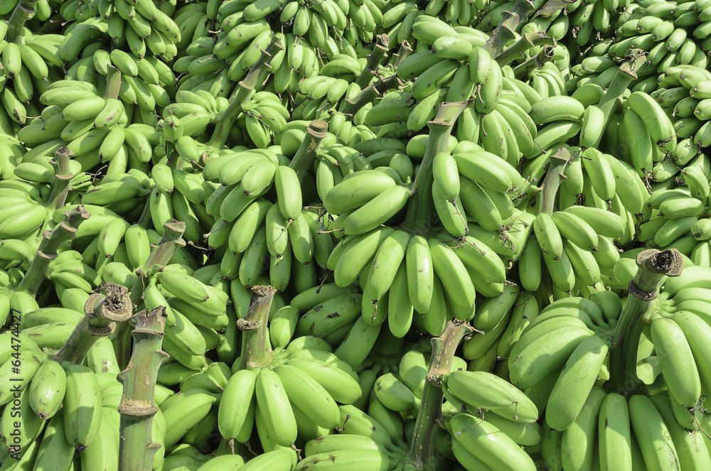 Pile of Unripe Banana called kluay khai