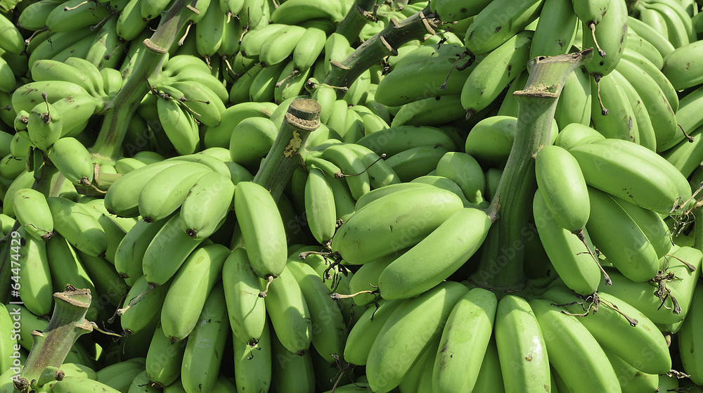 Pile of Green Banana called kluay khai