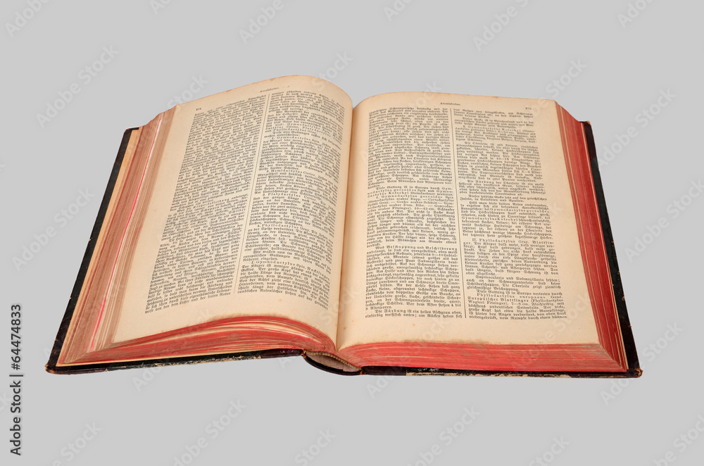 Obraz premium altes buch