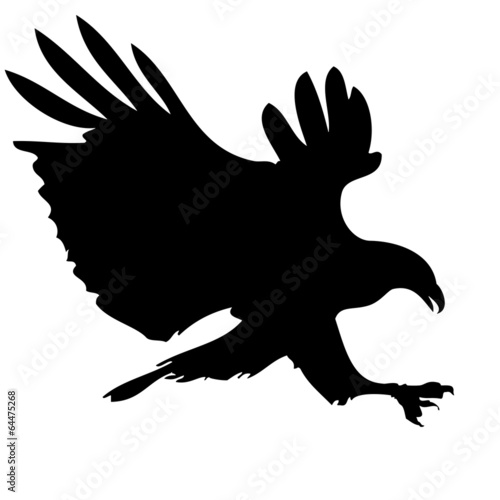 hunting eagle