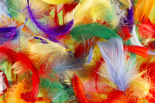 feathers